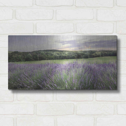 Luxe Metal Art 'Lavender Fields' by Lori Deiter, Metal Wall Art,24x12