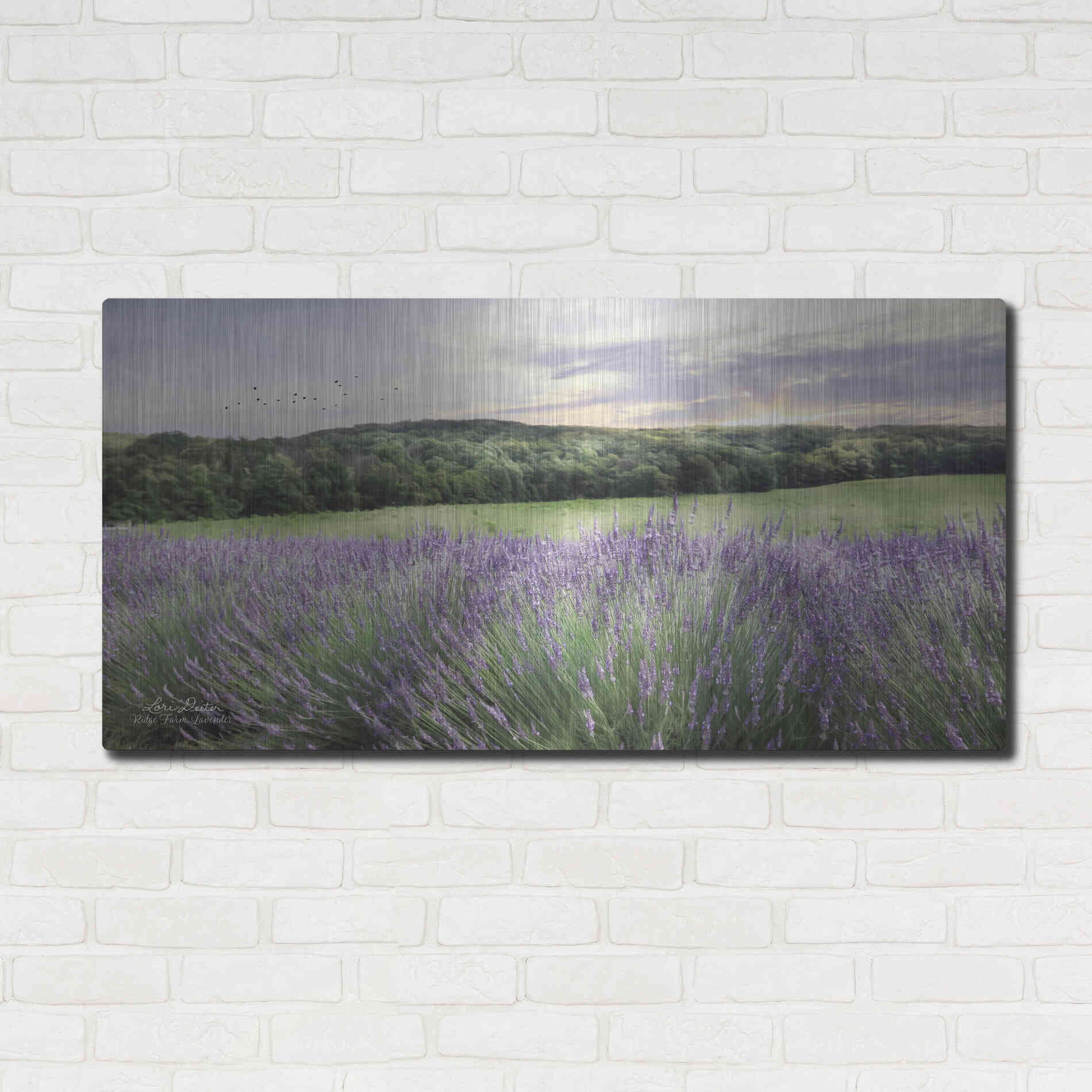 Luxe Metal Art 'Lavender Fields' by Lori Deiter, Metal Wall Art,48x24