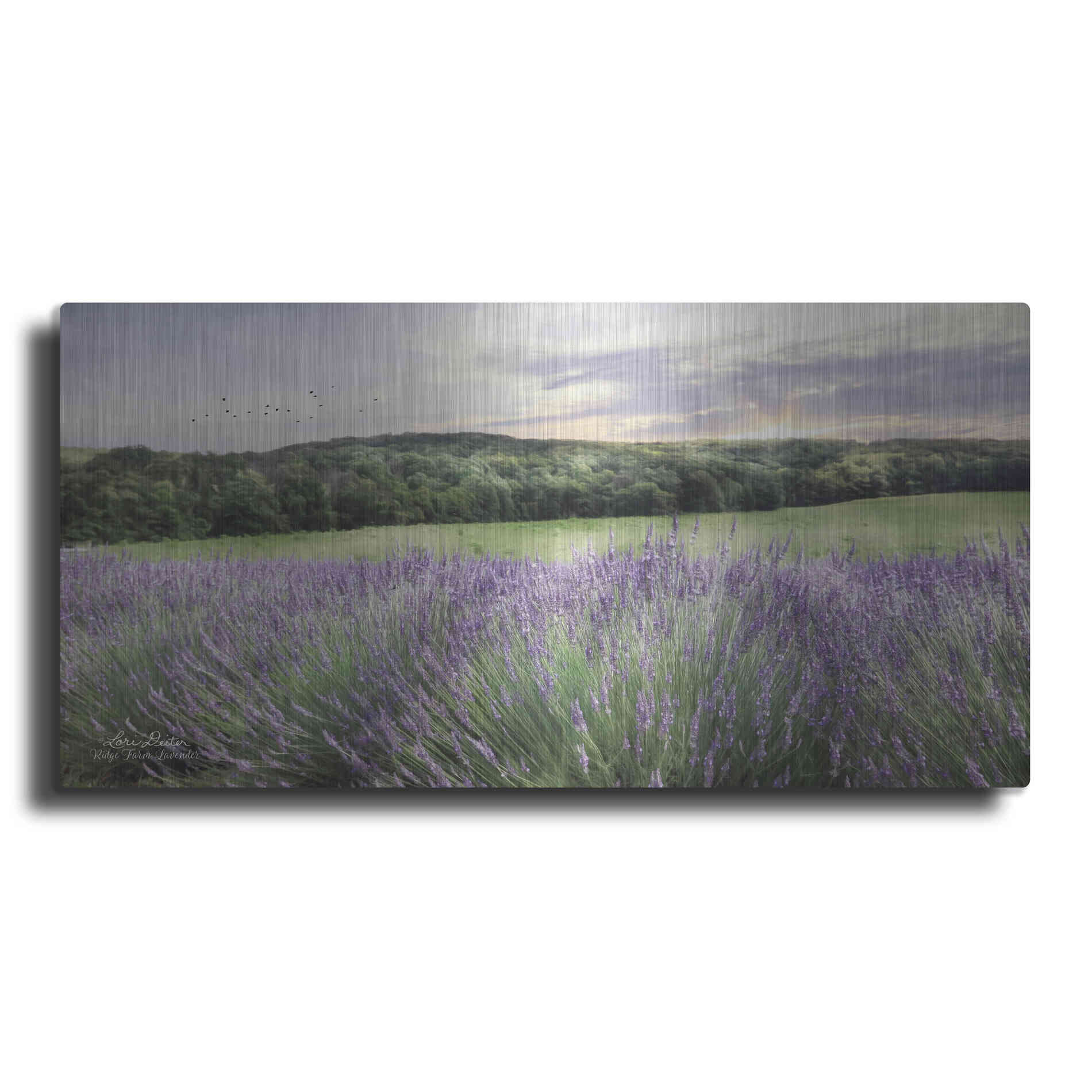 Luxe Metal Art 'Lavender Fields' by Lori Deiter, Metal Wall Art