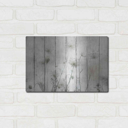 Luxe Metal Art 'Queen Anne' by Lori Deiter, Metal Wall Art,16x12