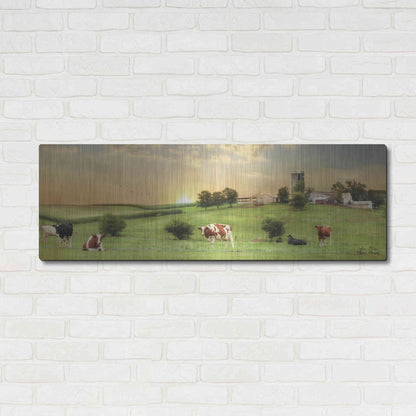 Luxe Metal Art 'Blessed Morning' by Lori Deiter, Metal Wall Art,48x16