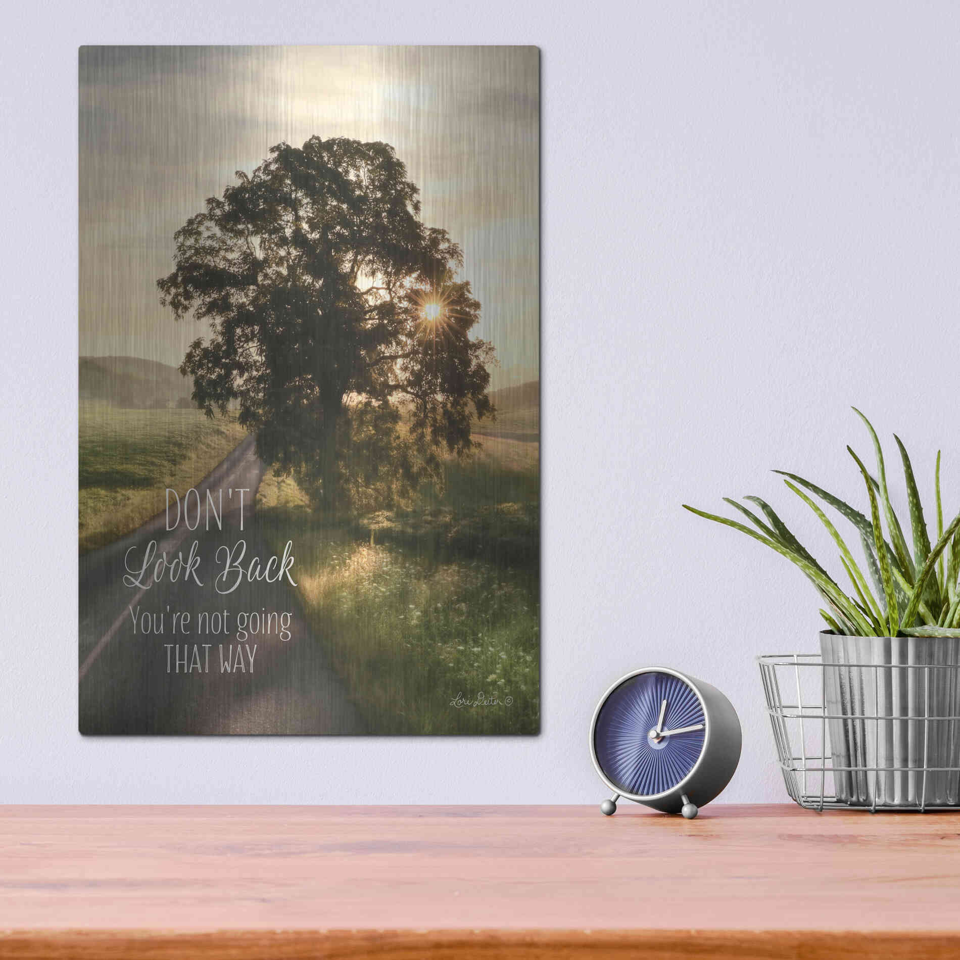 Luxe Metal Art 'Don't Look Back' by Lori Deiter, Metal Wall Art,12x16