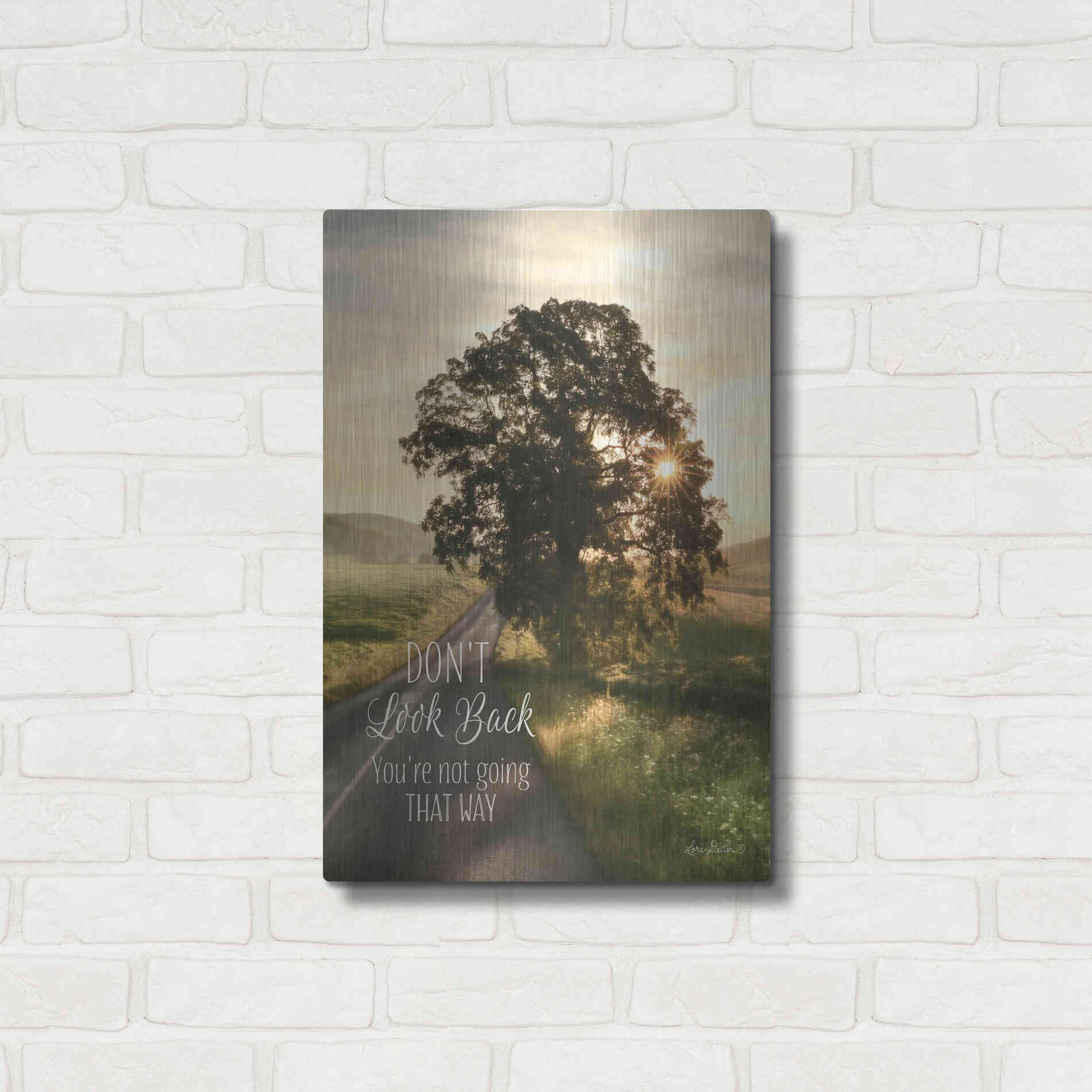 Luxe Metal Art 'Don't Look Back' by Lori Deiter, Metal Wall Art,16x24