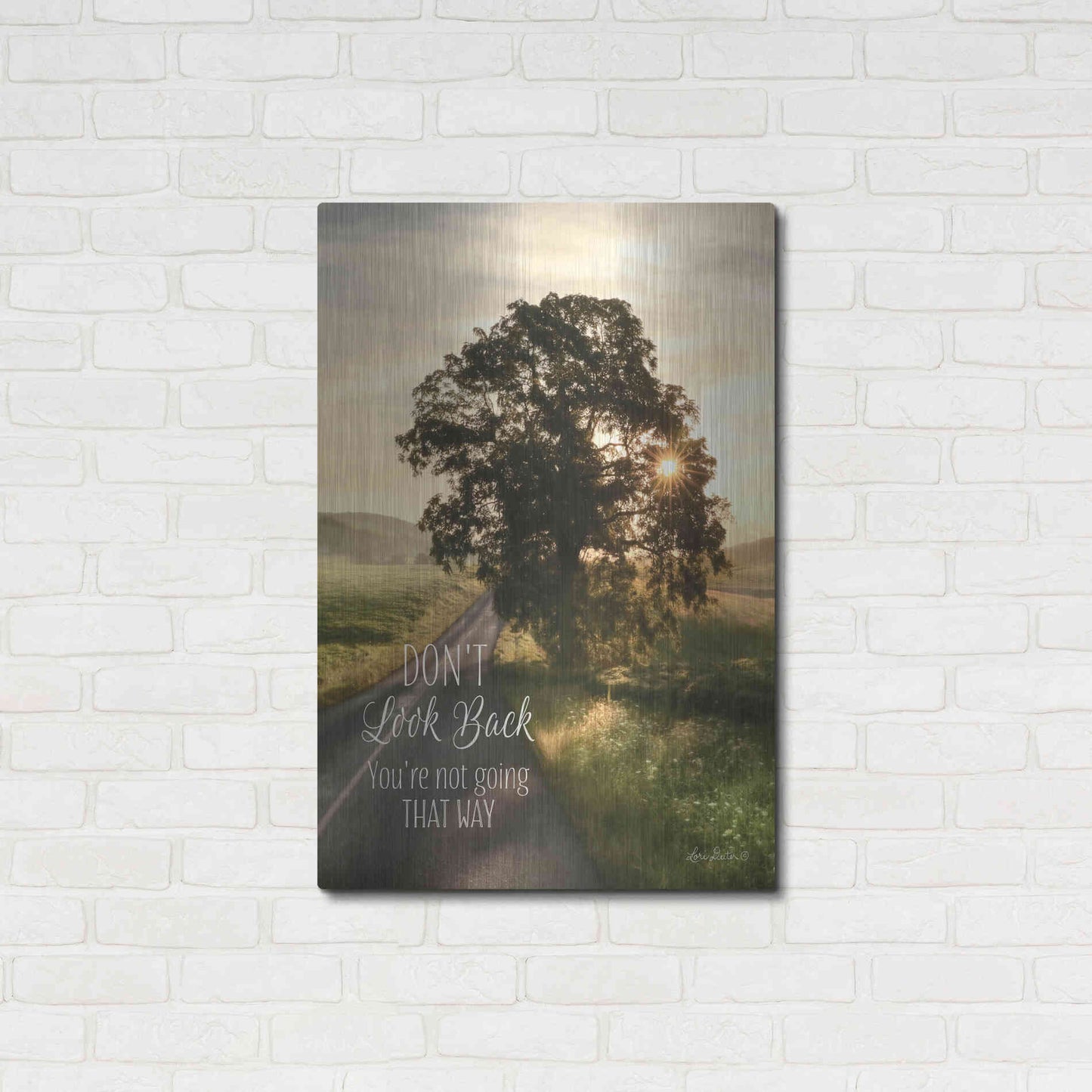 Luxe Metal Art 'Don't Look Back' by Lori Deiter, Metal Wall Art,24x36