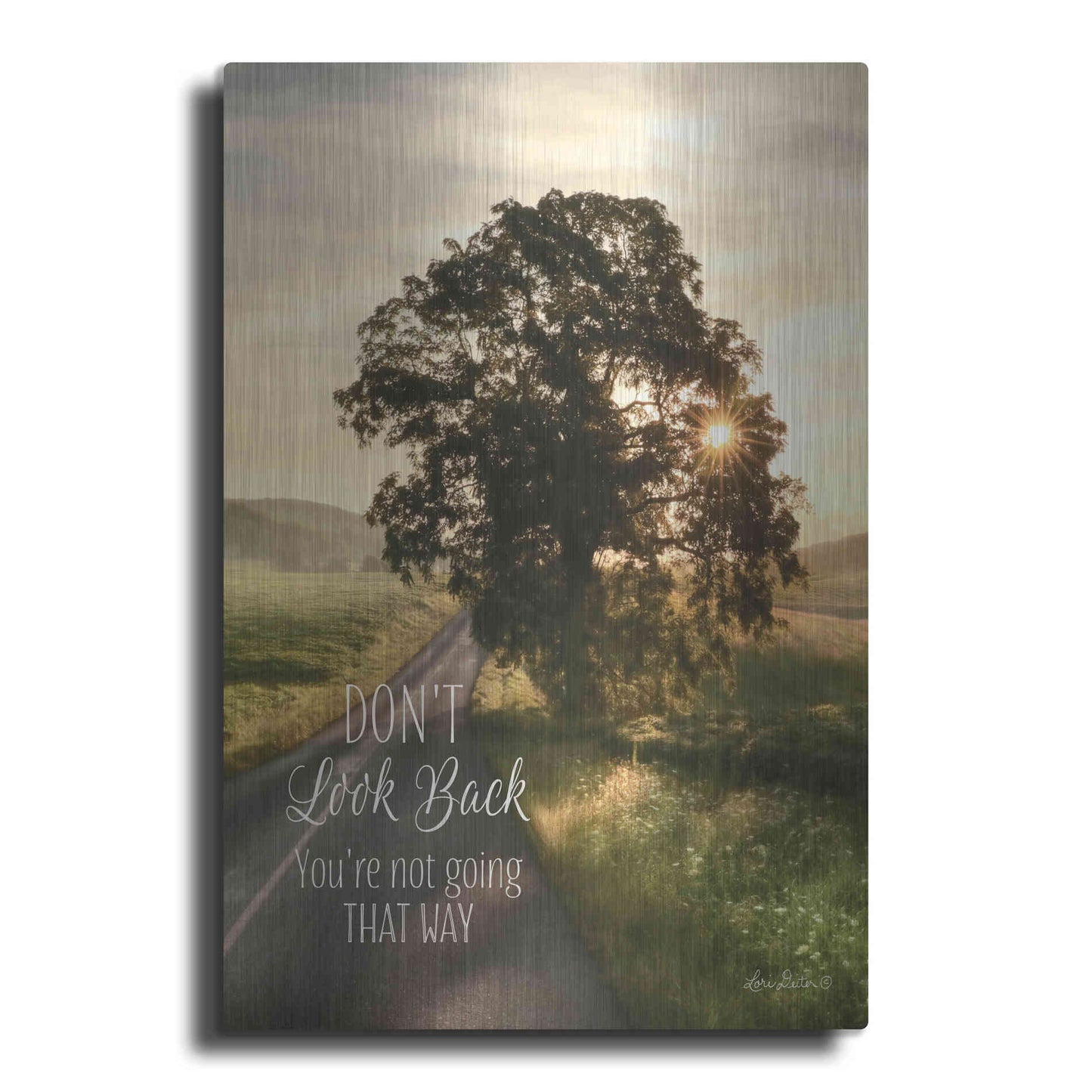 Luxe Metal Art 'Don't Look Back' by Lori Deiter, Metal Wall Art