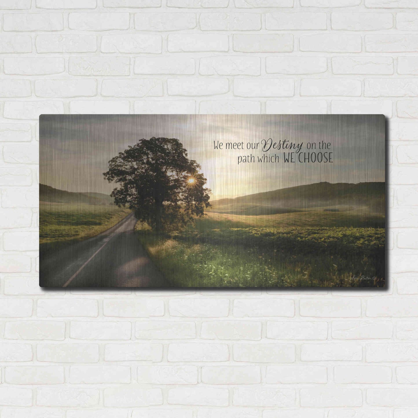 Luxe Metal Art 'Destiny' by Lori Deiter, Metal Wall Art,48x24