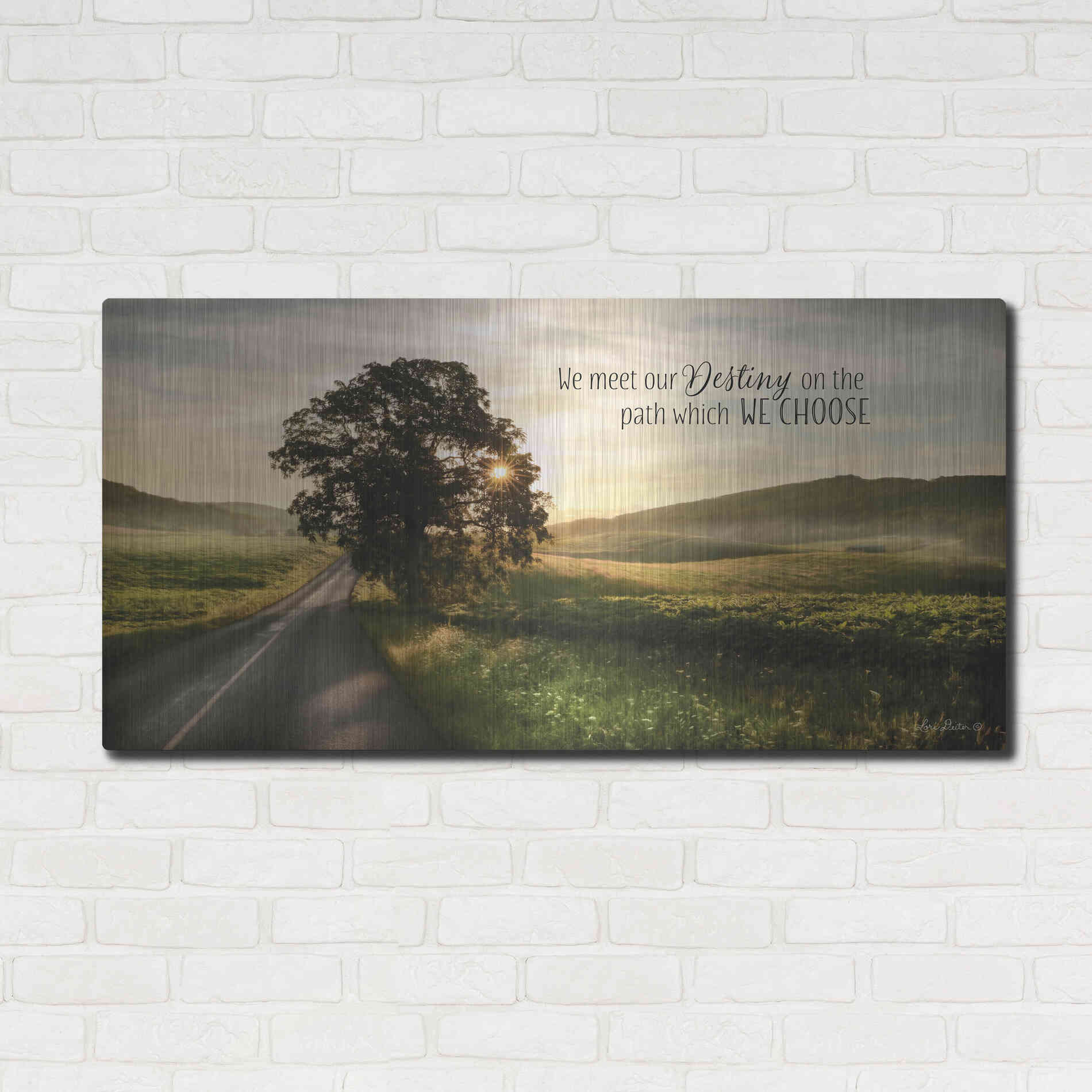 Luxe Metal Art 'Destiny' by Lori Deiter, Metal Wall Art,48x24