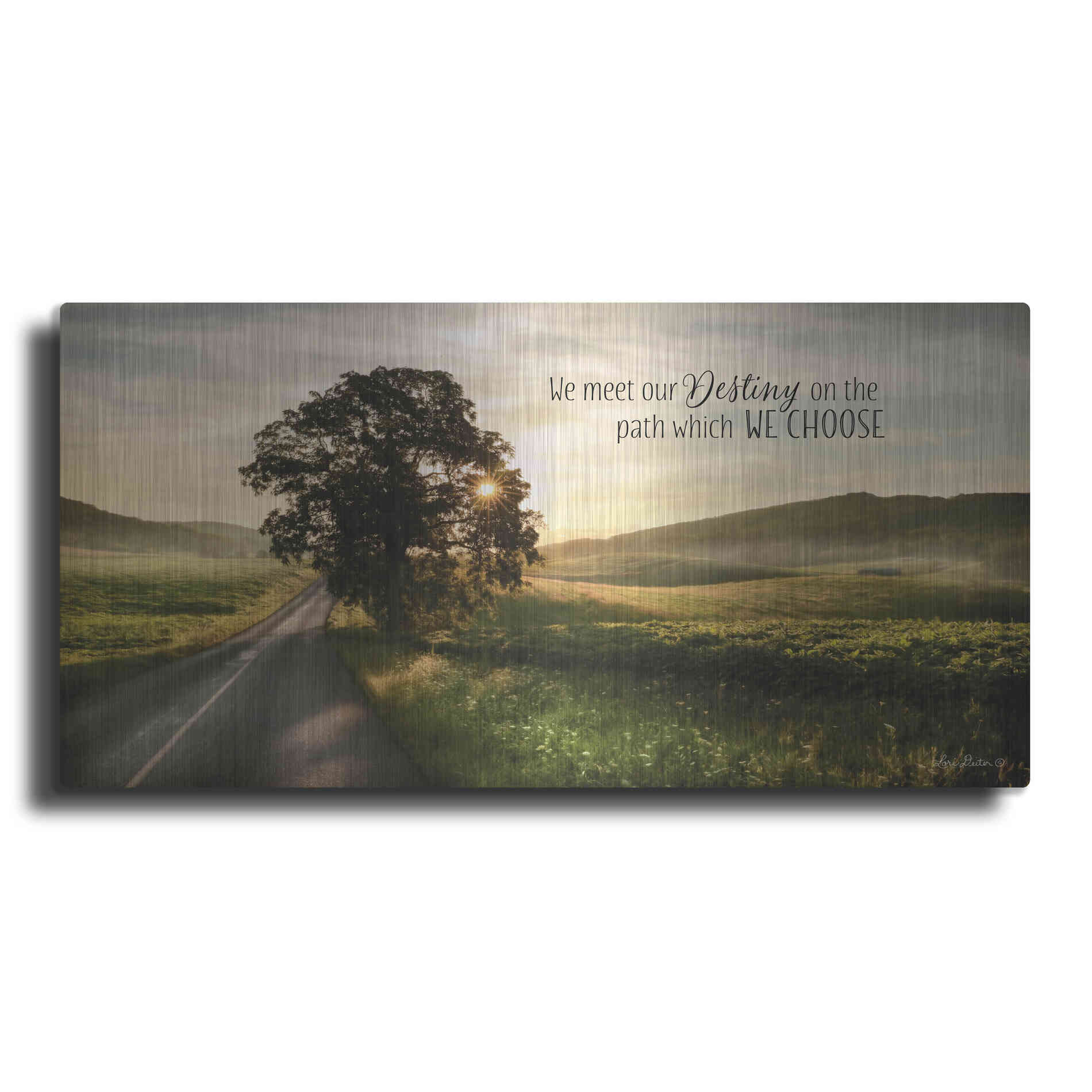 Luxe Metal Art 'Destiny' by Lori Deiter, Metal Wall Art