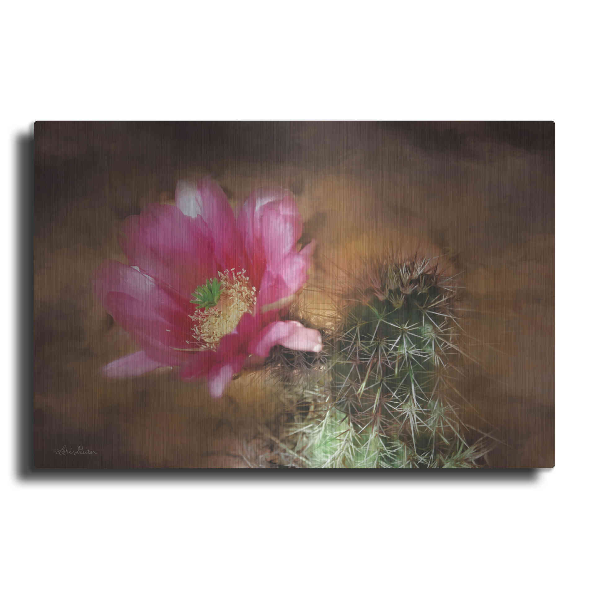 Luxe Metal Art 'Vibrant Cactus Flower' by Lori Deiter, Metal Wall Art