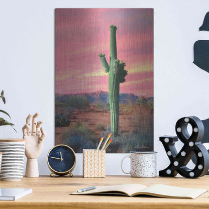 Luxe Metal Art 'Vibrant Cactus Sunset' by Lori Deiter, Metal Wall Art,12x16