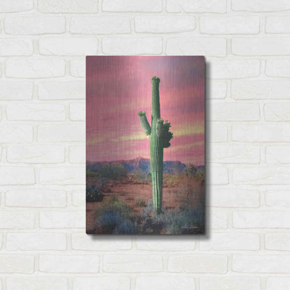 Luxe Metal Art 'Vibrant Cactus Sunset' by Lori Deiter, Metal Wall Art,16x24