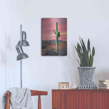 Luxe Metal Art 'Vibrant Cactus Sunset' by Lori Deiter, Metal Wall Art,16x24