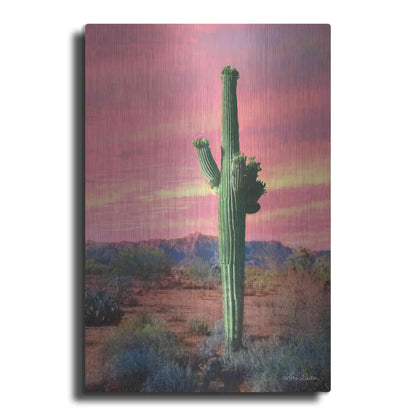 Luxe Metal Art 'Vibrant Cactus Sunset' by Lori Deiter, Metal Wall Art