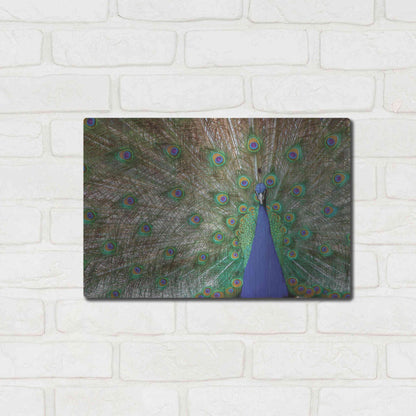 Luxe Metal Art 'Peacock' by Lori Deiter, Metal Wall Art,16x12