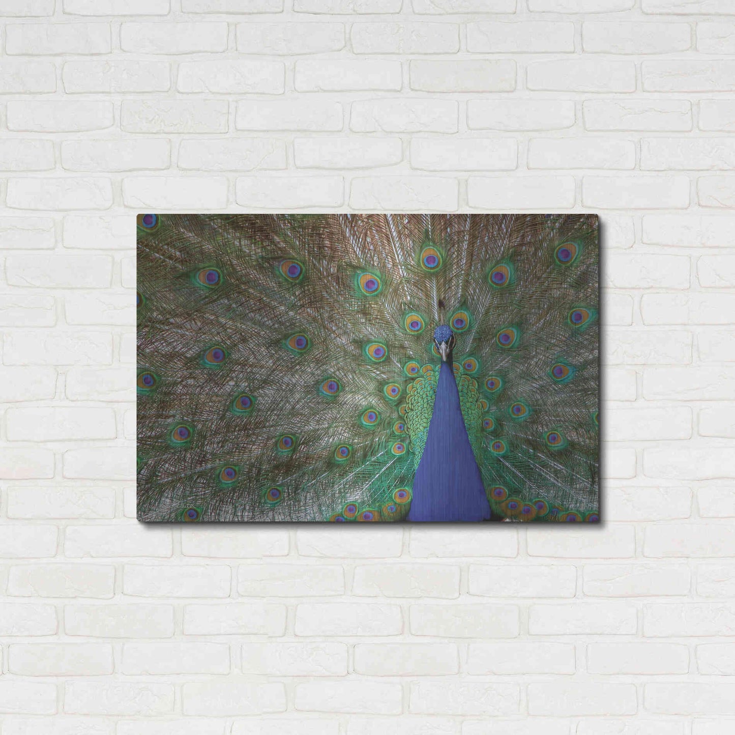Luxe Metal Art 'Peacock' by Lori Deiter, Metal Wall Art,36x24