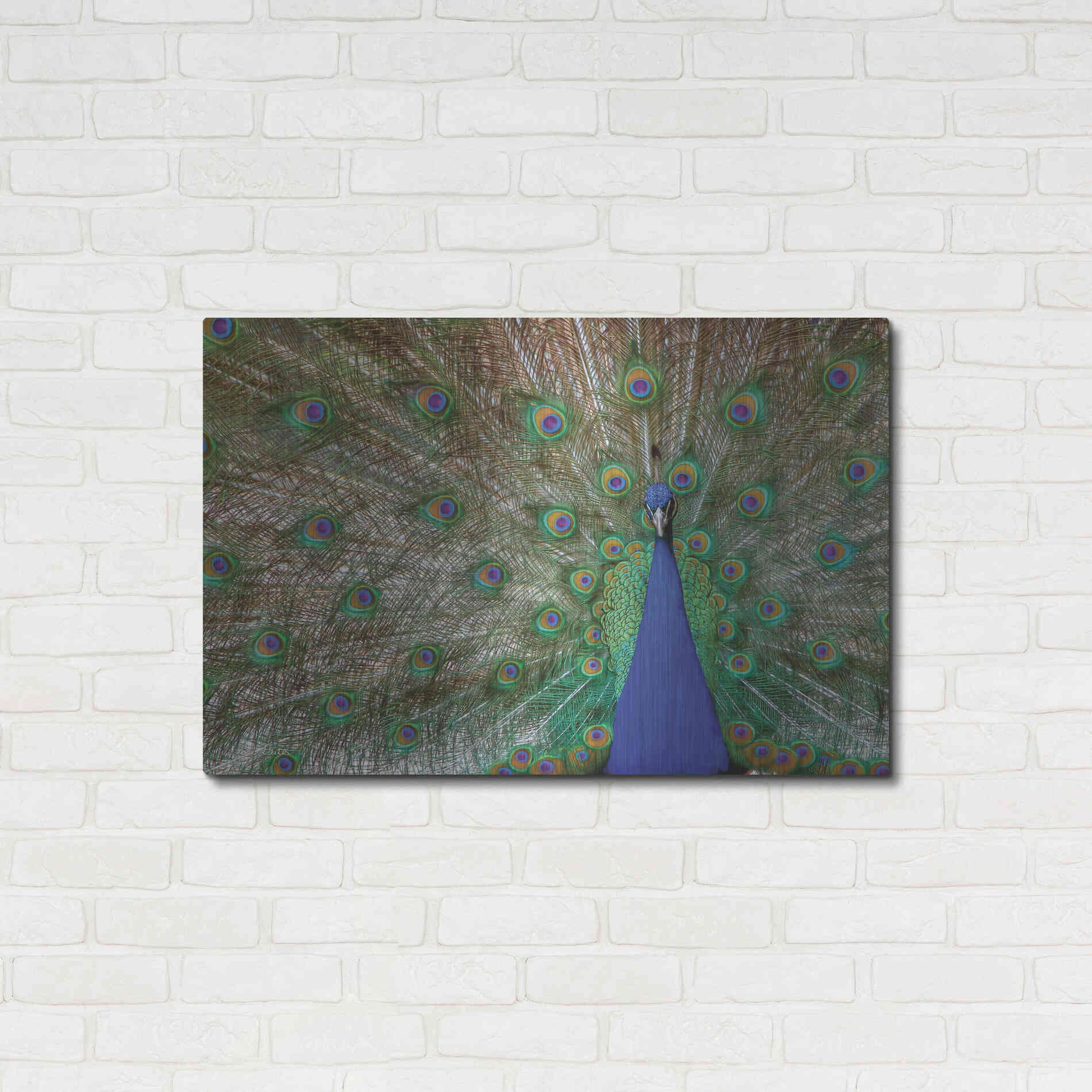 Luxe Metal Art 'Peacock' by Lori Deiter, Metal Wall Art,36x24