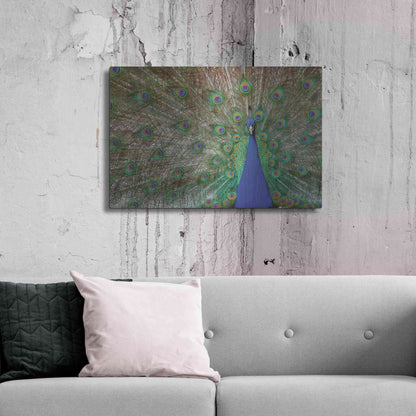Luxe Metal Art 'Peacock' by Lori Deiter, Metal Wall Art,36x24