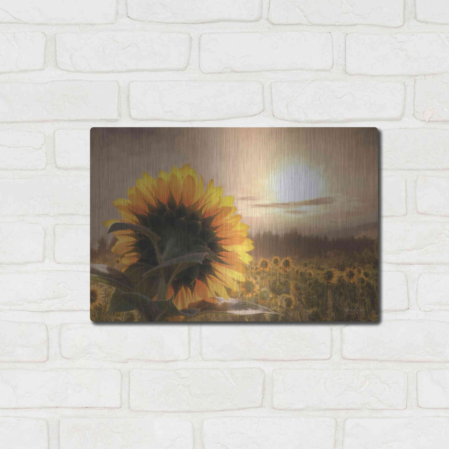 Luxe Metal Art 'Sunlit Sunflower' by Lori Deiter, Metal Wall Art,16x12