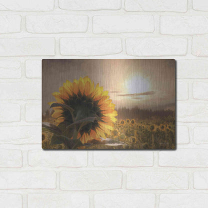 Luxe Metal Art 'Sunlit Sunflower' by Lori Deiter, Metal Wall Art,16x12