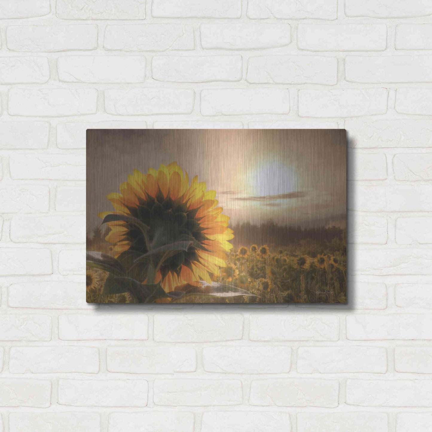 Luxe Metal Art 'Sunlit Sunflower' by Lori Deiter, Metal Wall Art,24x16