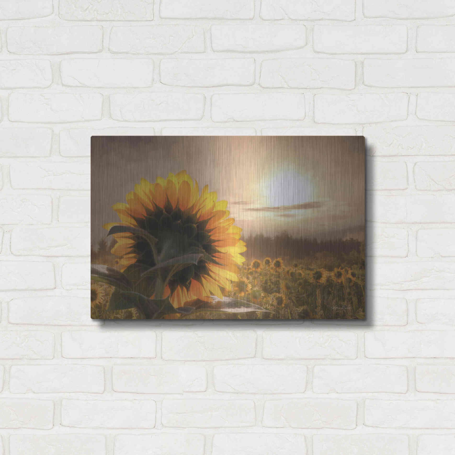 Luxe Metal Art 'Sunlit Sunflower' by Lori Deiter, Metal Wall Art,24x16