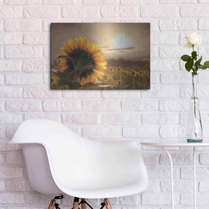 Luxe Metal Art 'Sunlit Sunflower' by Lori Deiter, Metal Wall Art,24x16