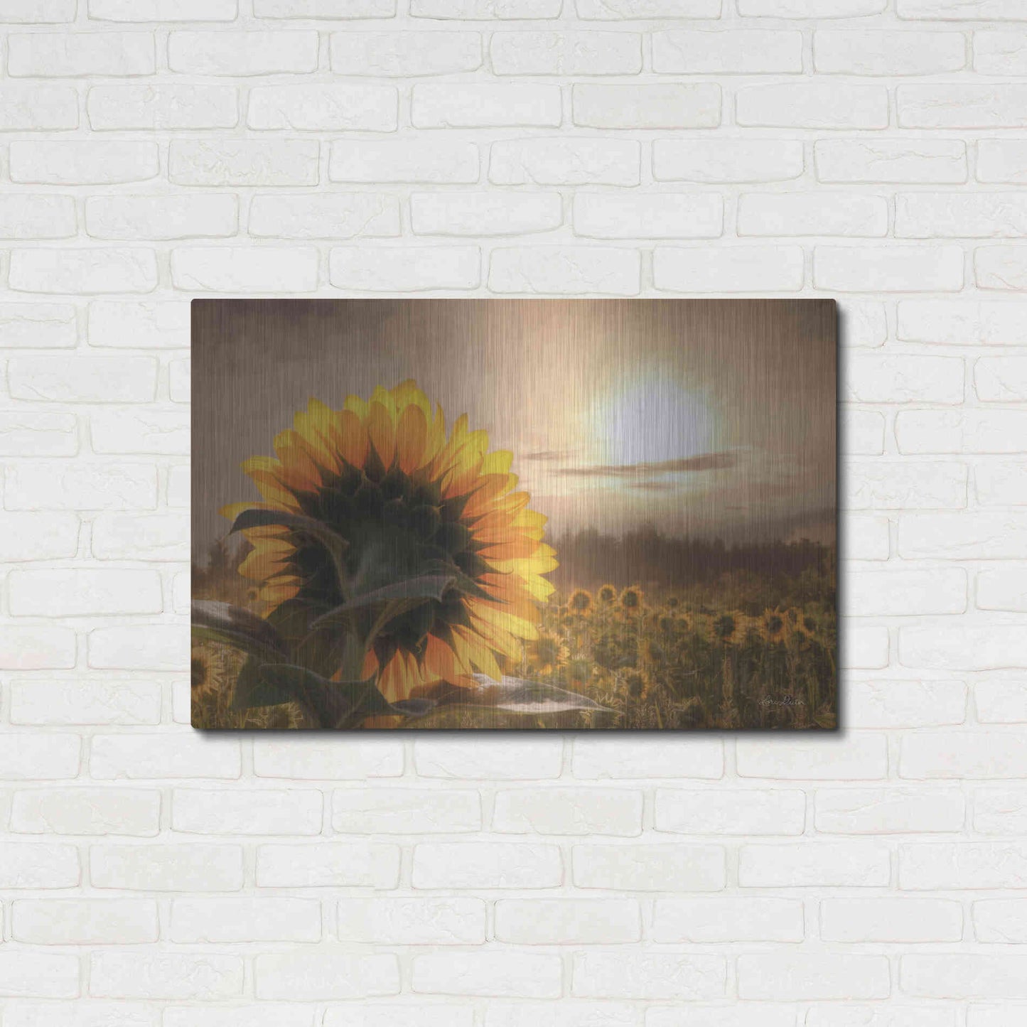 Luxe Metal Art 'Sunlit Sunflower' by Lori Deiter, Metal Wall Art,36x24