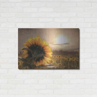 Luxe Metal Art 'Sunlit Sunflower' by Lori Deiter, Metal Wall Art,36x24