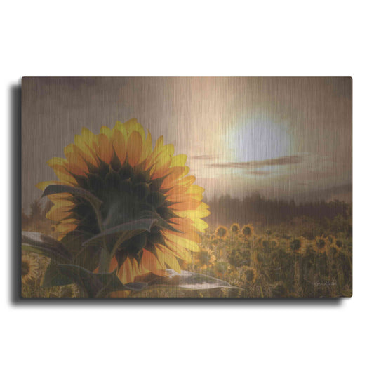 Luxe Metal Art 'Sunlit Sunflower' by Lori Deiter, Metal Wall Art