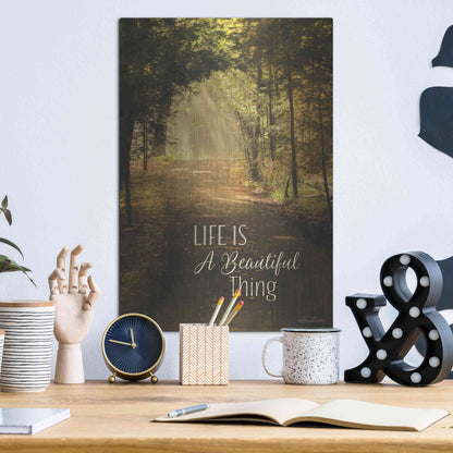 Luxe Metal Art 'Life is a Beautiful Thing' by Lori Deiter, Metal Wall Art,12x16