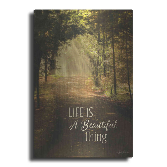 Luxe Metal Art 'Life is a Beautiful Thing' by Lori Deiter, Metal Wall Art