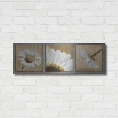 Luxe Metal Art 'Daisy Trio' by Lori Deiter, Metal Wall Art,36x12