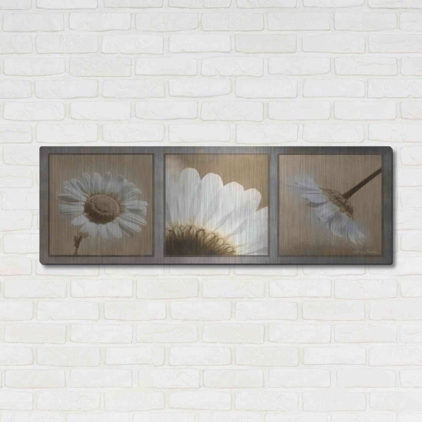 Luxe Metal Art 'Daisy Trio' by Lori Deiter, Metal Wall Art,48x16