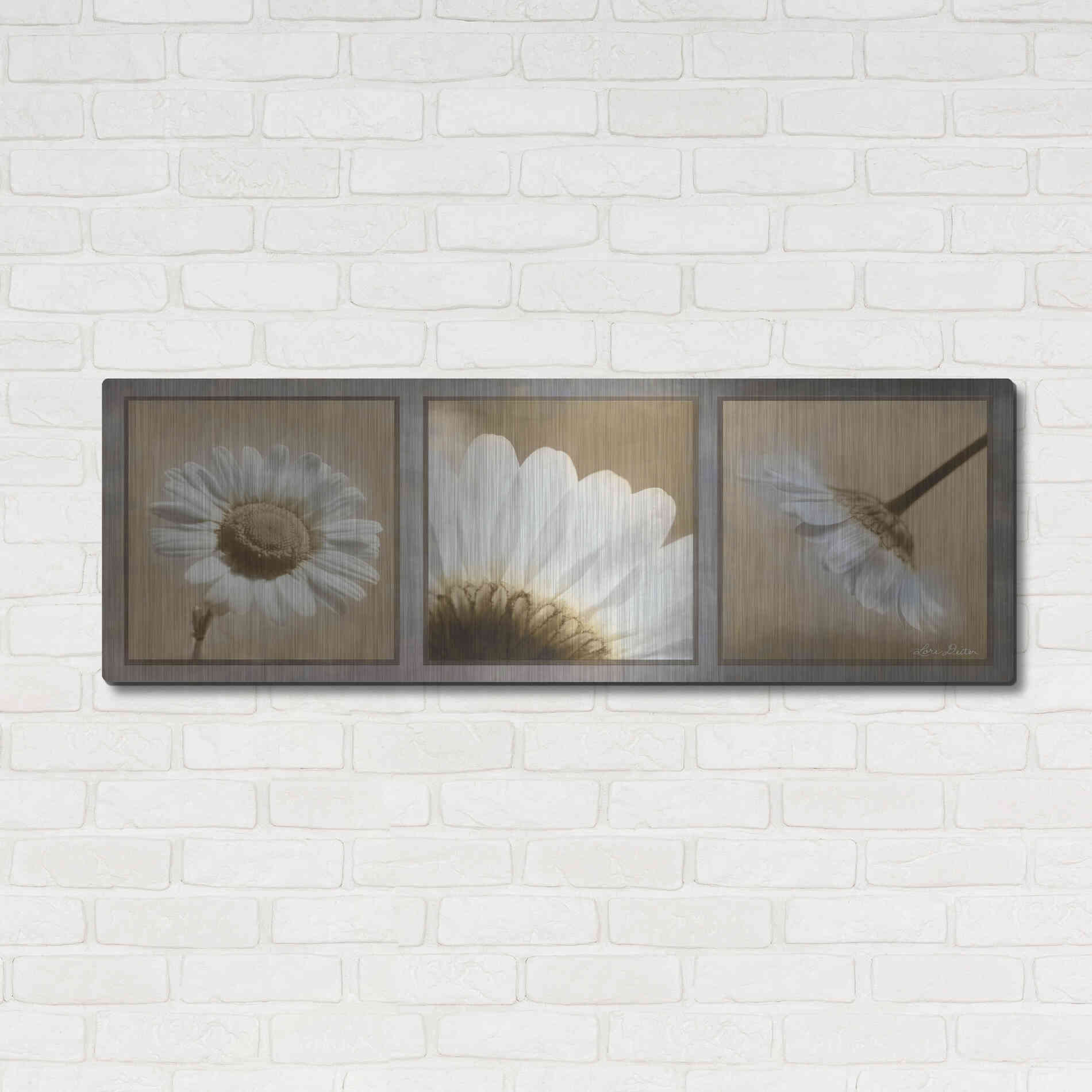 Luxe Metal Art 'Daisy Trio' by Lori Deiter, Metal Wall Art,48x16