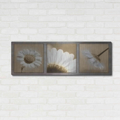 Luxe Metal Art 'Daisy Trio' by Lori Deiter, Metal Wall Art,48x16