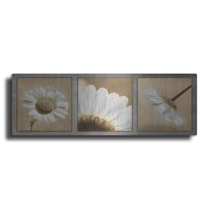 Luxe Metal Art 'Daisy Trio' by Lori Deiter, Metal Wall Art