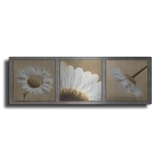 Luxe Metal Art 'Daisy Trio' by Lori Deiter, Metal Wall Art
