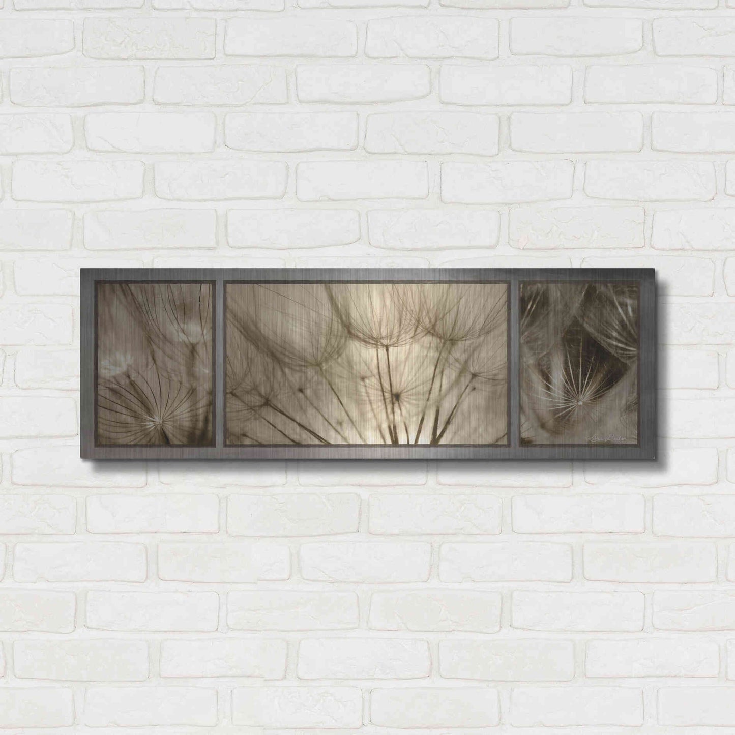 Luxe Metal Art 'Goatsbeard Trio' by Lori Deiter, Metal Wall Art,36x12