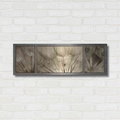 Luxe Metal Art 'Goatsbeard Trio' by Lori Deiter, Metal Wall Art,36x12