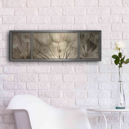 Luxe Metal Art 'Goatsbeard Trio' by Lori Deiter, Metal Wall Art,36x12