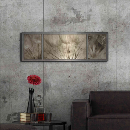Luxe Metal Art 'Goatsbeard Trio' by Lori Deiter, Metal Wall Art,48x16