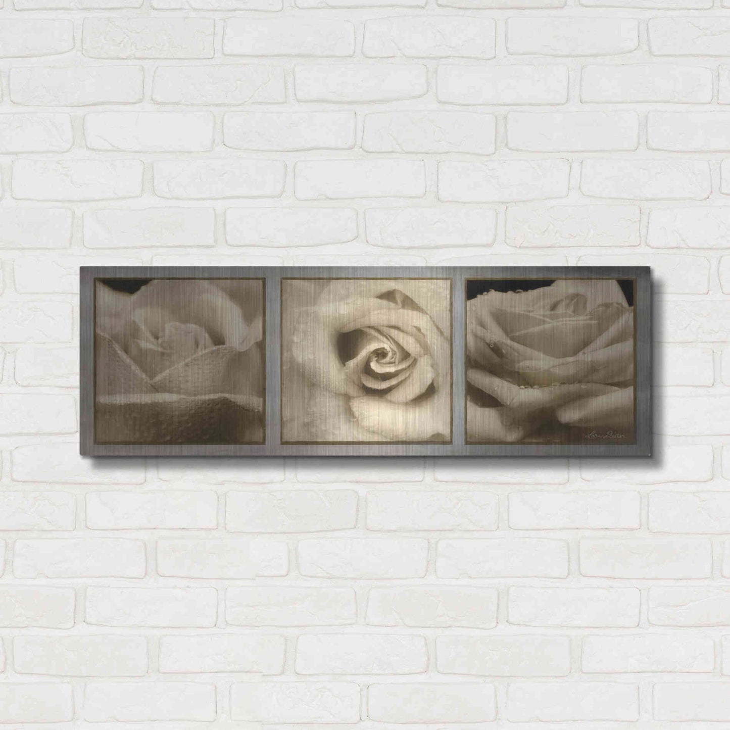 Luxe Metal Art 'Rose Trio' by Lori Deiter, Metal Wall Art,36x12