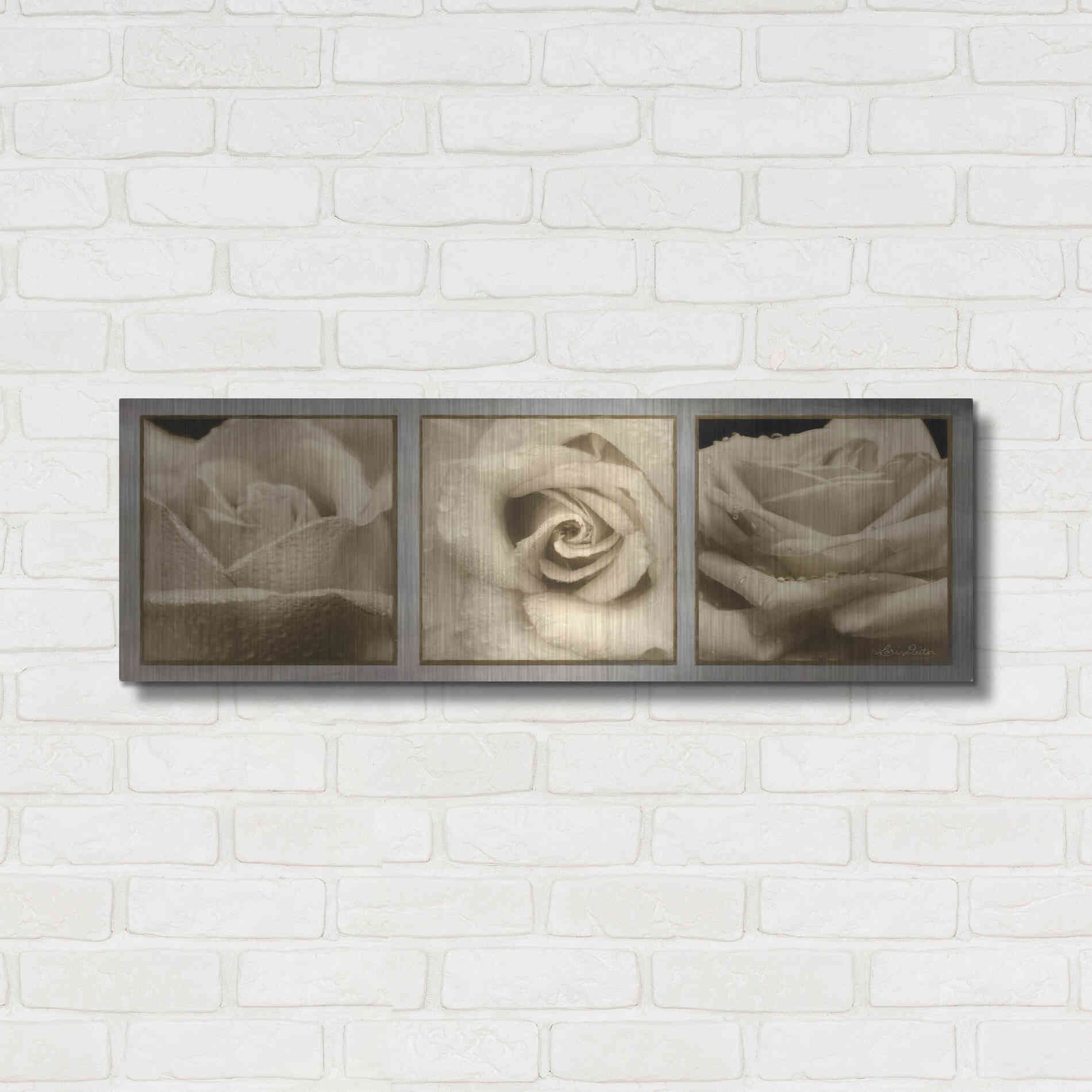 Luxe Metal Art 'Rose Trio' by Lori Deiter, Metal Wall Art,36x12