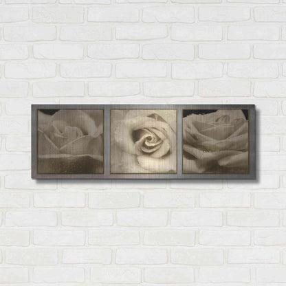 Luxe Metal Art 'Rose Trio' by Lori Deiter, Metal Wall Art,36x12