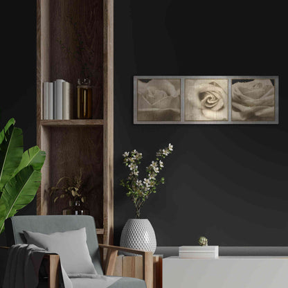 Luxe Metal Art 'Rose Trio' by Lori Deiter, Metal Wall Art,36x12
