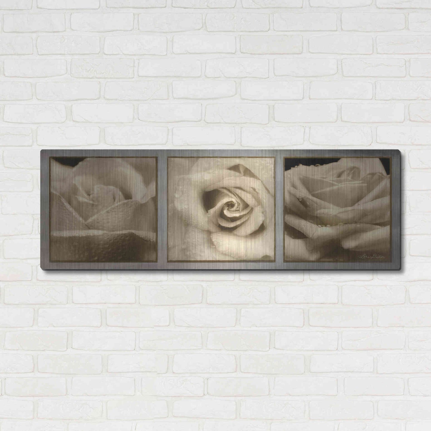 Luxe Metal Art 'Rose Trio' by Lori Deiter, Metal Wall Art,48x16