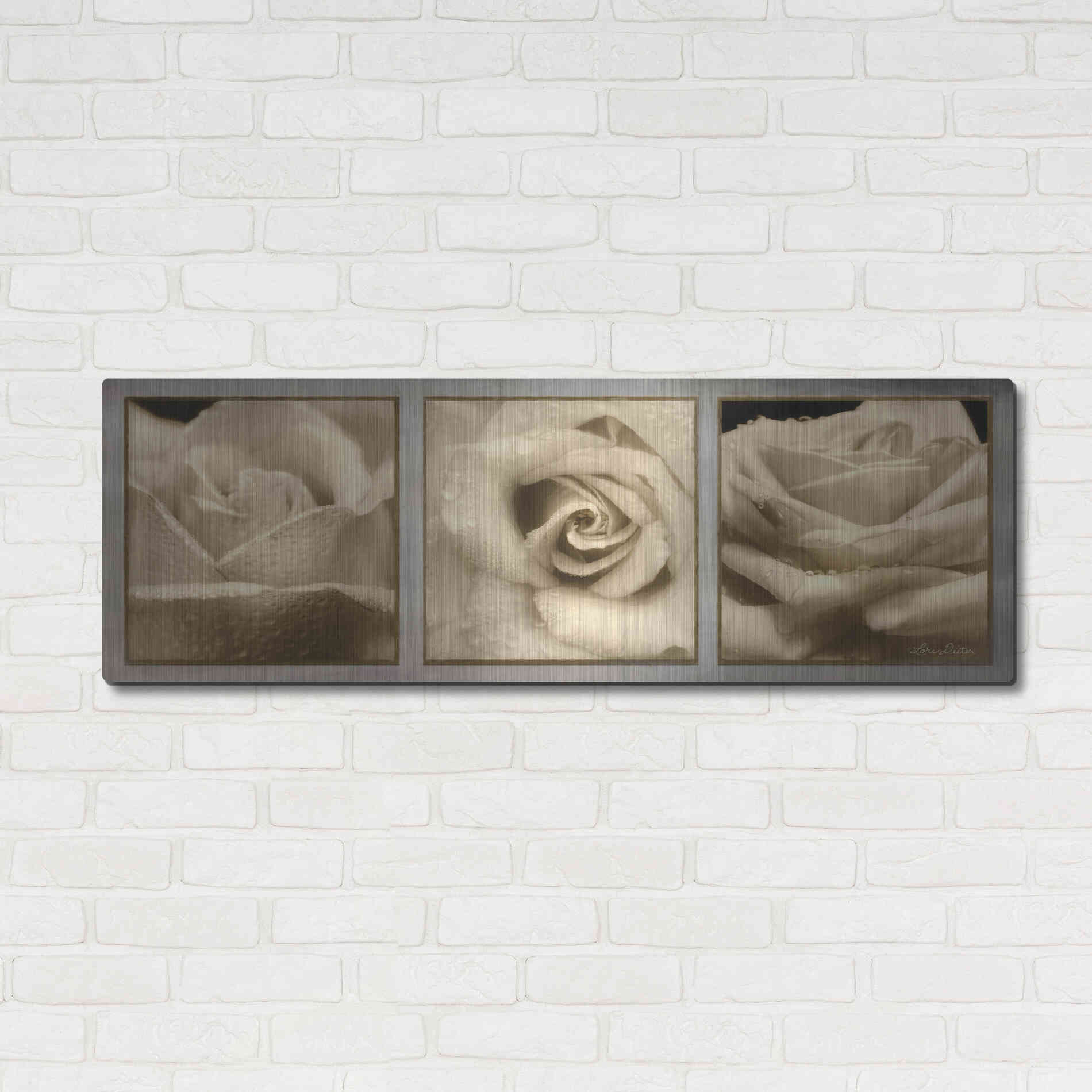 Luxe Metal Art 'Rose Trio' by Lori Deiter, Metal Wall Art,48x16
