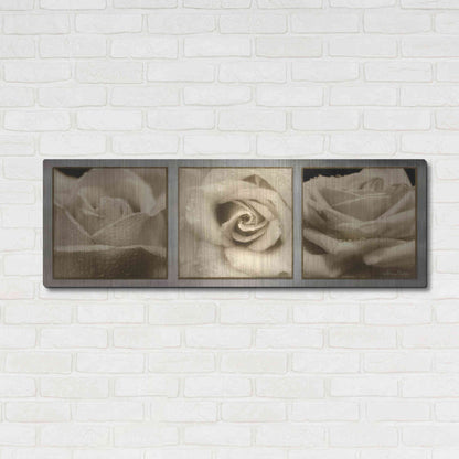 Luxe Metal Art 'Rose Trio' by Lori Deiter, Metal Wall Art,48x16