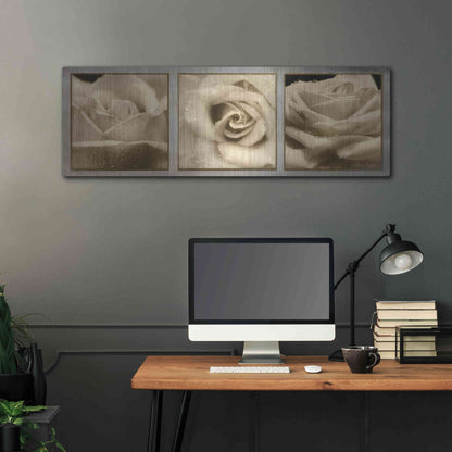 Luxe Metal Art 'Rose Trio' by Lori Deiter, Metal Wall Art,48x16