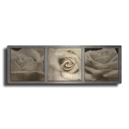 Luxe Metal Art 'Rose Trio' by Lori Deiter, Metal Wall Art